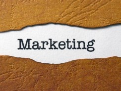 Marketing Is Essential For Business