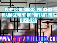 Why Is Business Process Management Important For Business